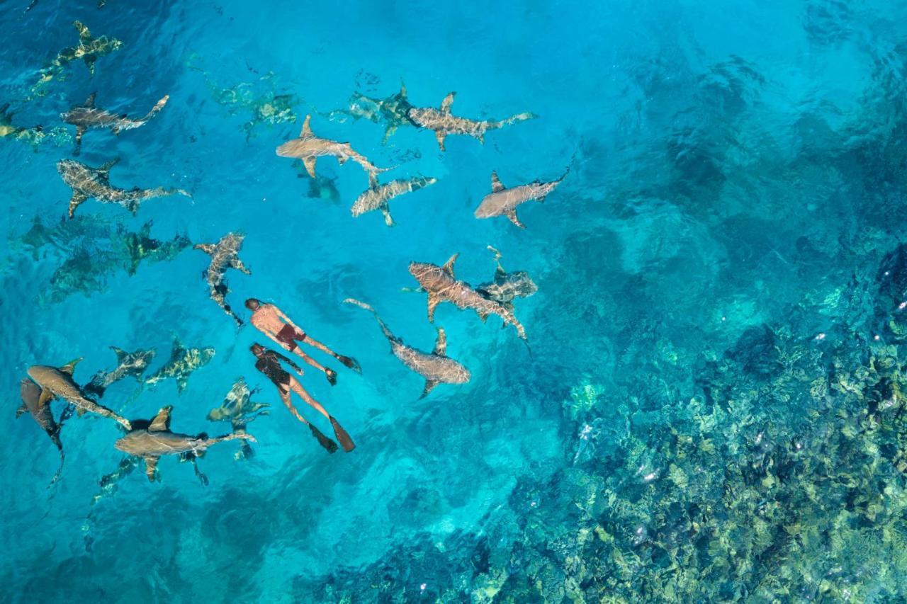 Anantara Veli Maldives Resort - Complimentary Round-Trip Transportation For Minimum Stay Of 3 Nights And More From 7 April To 10 October 2025 (Adults Only) Veligandu Extérieur photo